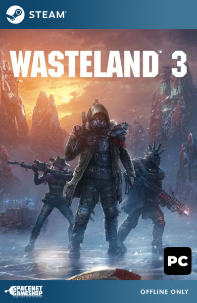 Wasteland 3 Steam [Offline Only]